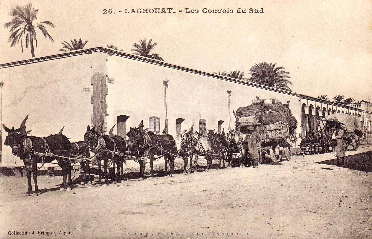 398- Laghouat - Convois du sud.jpg